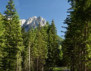 2017 - Val di Fassa 1006